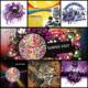 Music templates disco set vector
