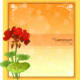 Geranium flower frame vector