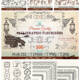 calligraphic flourishes with swirls vector  bundle