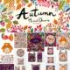 Cute autumn illustrations and pattern