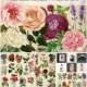 Antique botanicals big bundle