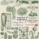 Garden plants and seeds vintage graphics set