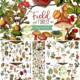 Field forest illustrations bundle