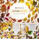 Custom scene Autumn edition mockup