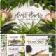 Essential flowers and plants mockup set