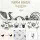 Farm birds vector set