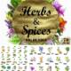 Herbs and spices bundle